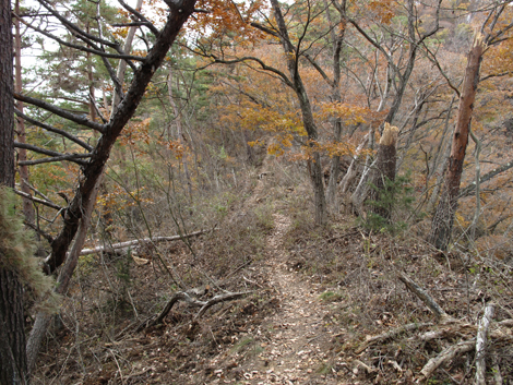 20181126hike (69)